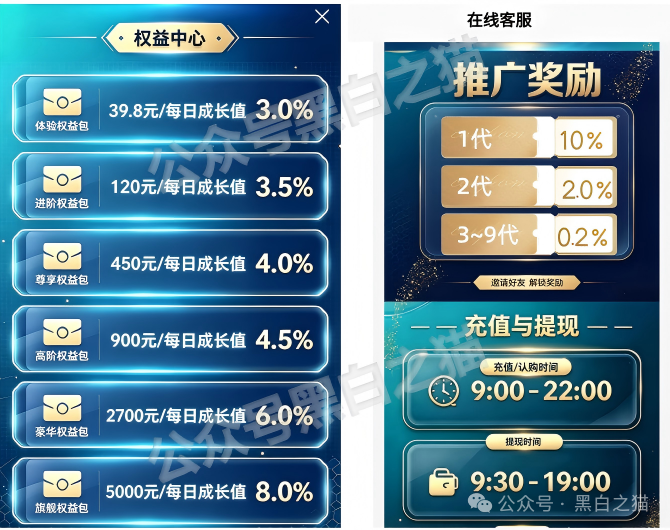 原文相关图片5